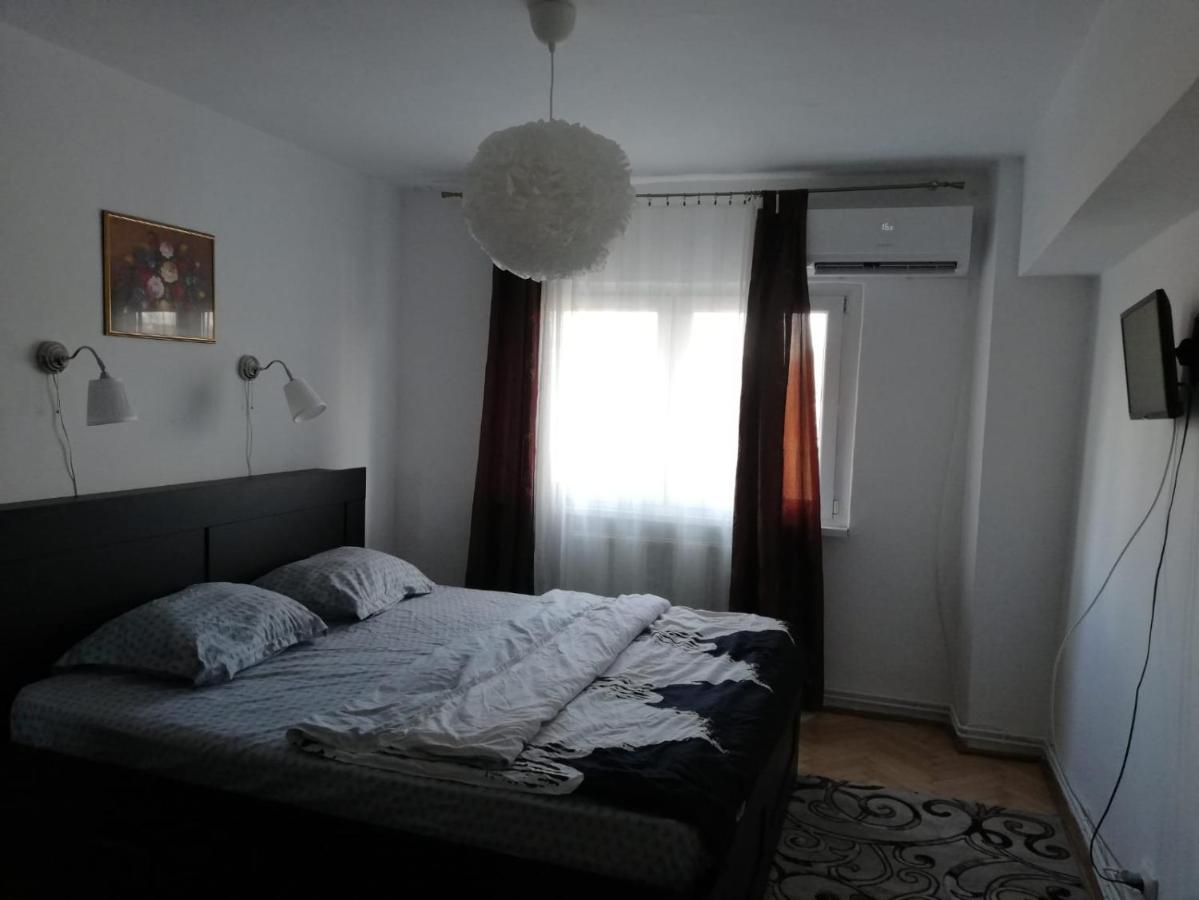 Dodo * Cluj-Napoca