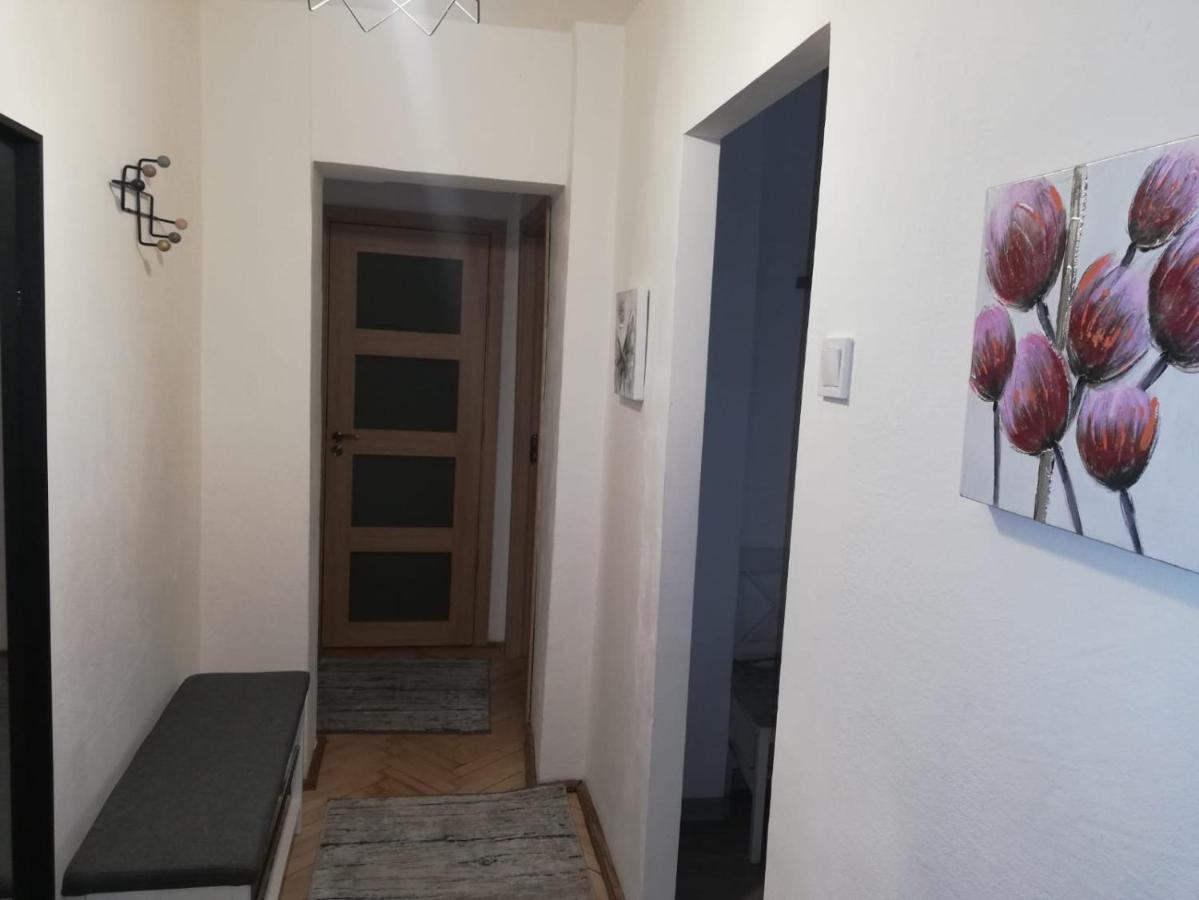 Apartment Dodo Cluj-Napoca